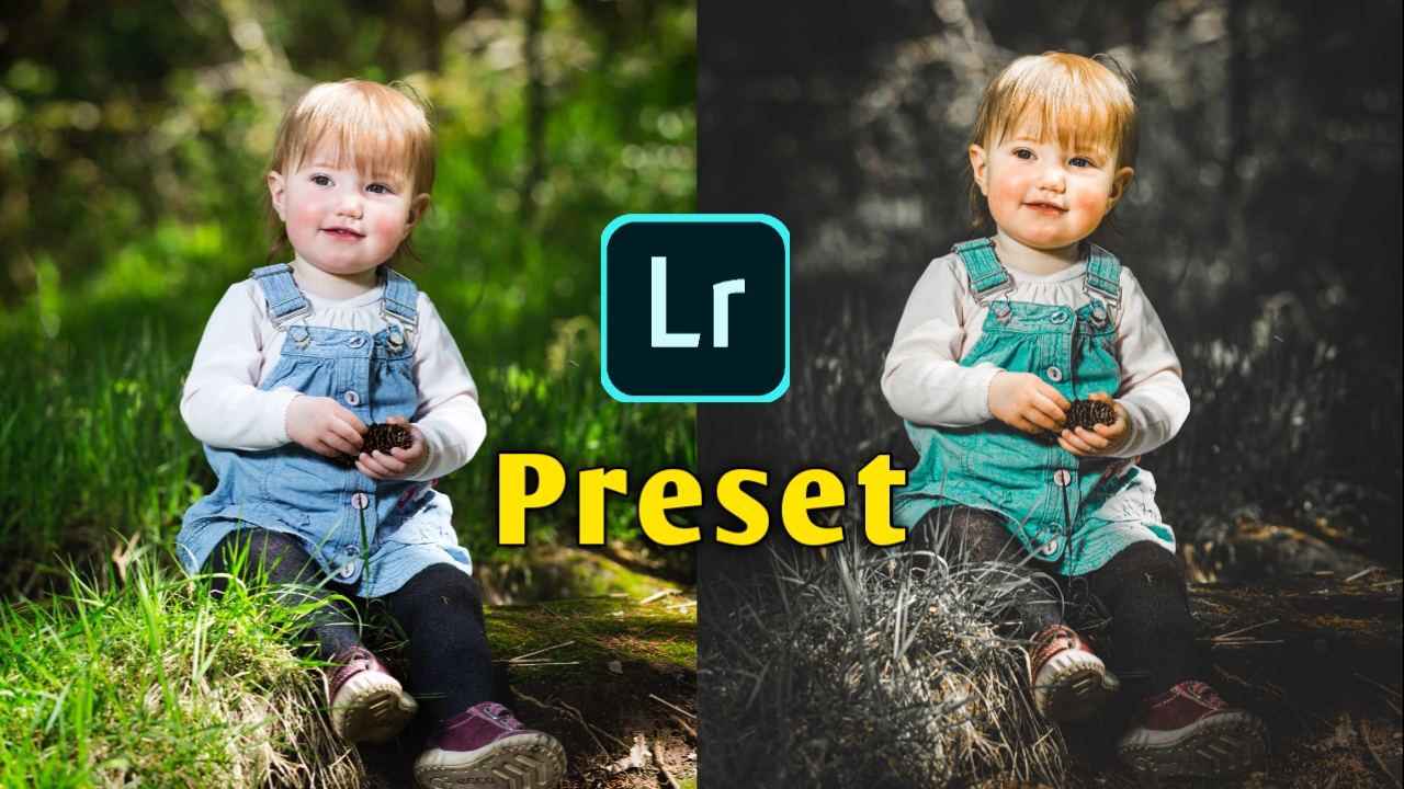 Google drive lightroom presets