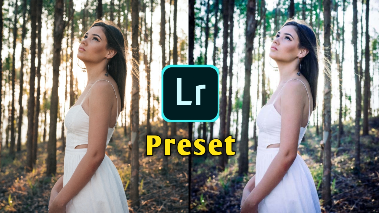 alfaz editing presets