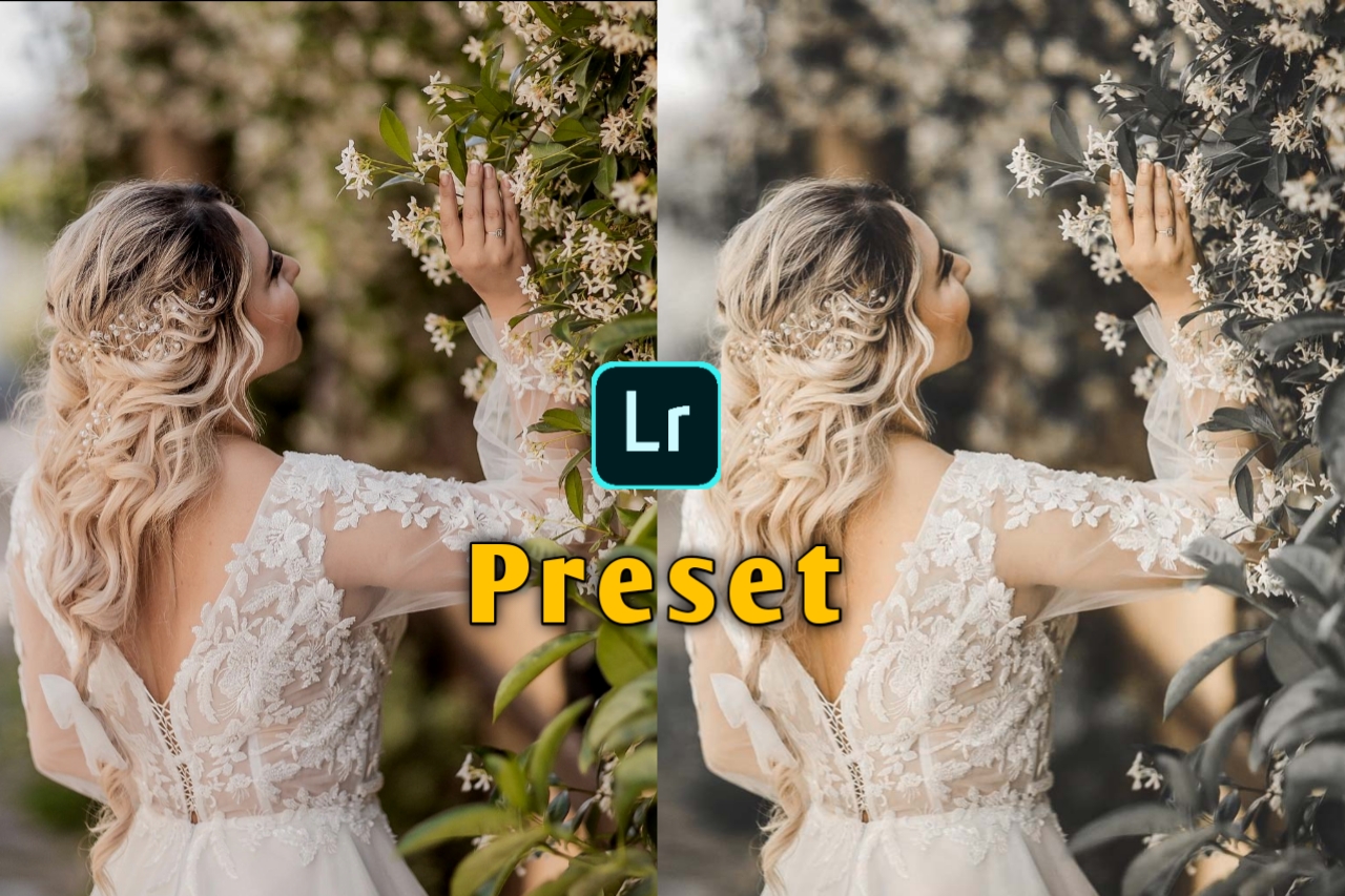 lightroom portrait presets