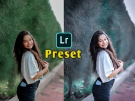 lightroom presets free download zip