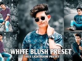 lightroom mobile presets