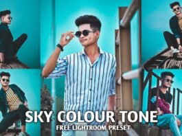 Lightroom Sky Presets