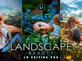 Lightroom best presets free download